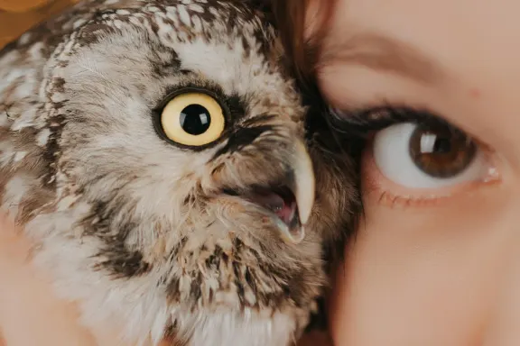 Казино ОлСтар Слотс Поддръжка